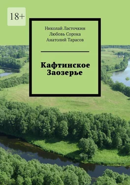 Анатолий Тарасов Кафтинское Заозерье обложка книги