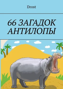 Drost 66 загадок антилопы обложка книги