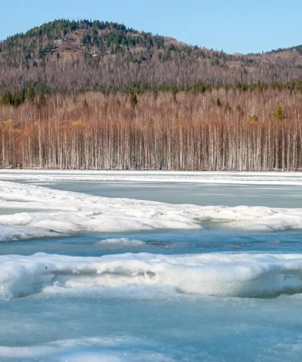 Жизнь Душа Милая деревня Я к тебе вернусь И воды колодезной Досыта - фото 3