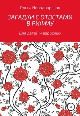 Ольга Новодворская Загадки с ответами в рифму обложка книги
