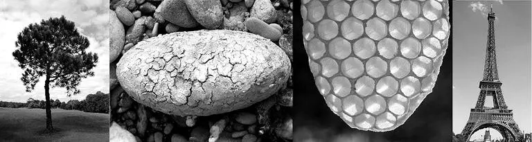 Figura 1 Objetos naturales y artificiales Fotografías de - фото 5