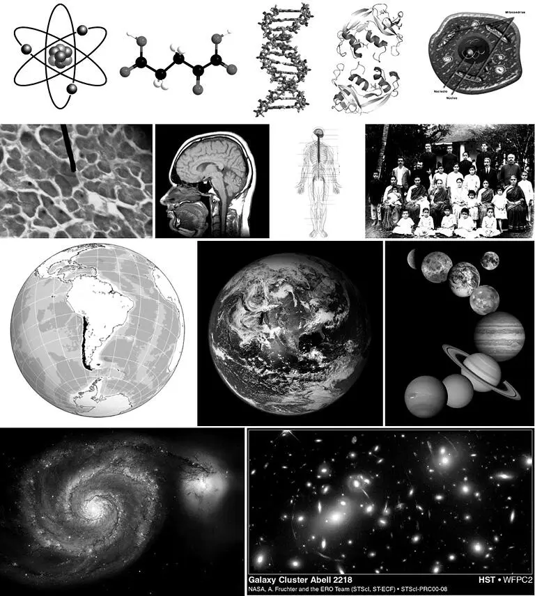 Figura 2 Objetos materiales a distintos niveles desde el subatómico al - фото 6