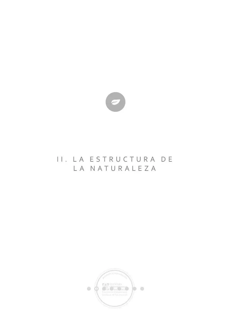 II La estructura de la naturaleza La naturaleza tiene ciertas características - фото 3
