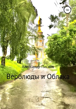 Александр Писнов Верблюды и облака обложка книги