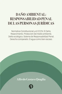 Alfredo Gustavo Quaglia Daño Ambiental: Responsabilidad Penal de las Personas Jurídicas обложка книги