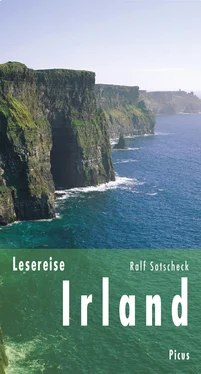 Ralf Sotscheck Lesereise Irland обложка книги