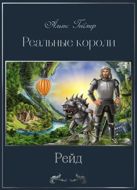 Альтс Геймер Реальные короли. Рейд обложка книги