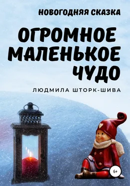 Людмила Шторк – Шива Огромное маленькое чудо обложка книги