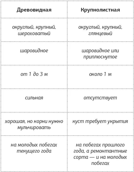 Сейчас появились так называемые ремонтантные сорта которые способны цвести как - фото 3