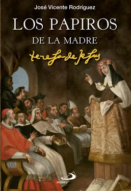 José Vicente Rodríguez Rodríguez Los papiros de la madre Teresa de Jesús обложка книги