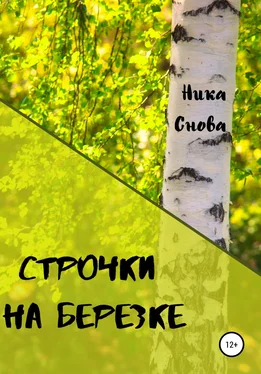 НикаСнова Строчки на березке обложка книги