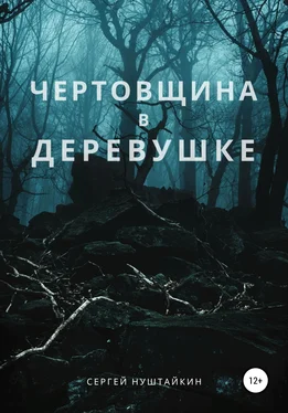 Сергей Нуштайкин Чертовщина в деревушке обложка книги