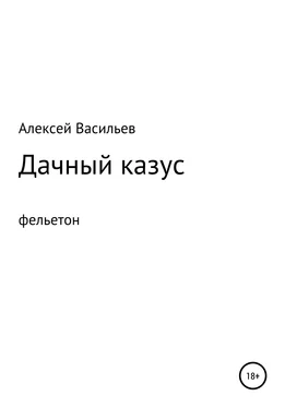 Алексей Васильев Дачный казус обложка книги