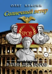 Олег Красин - Солнечный ветер. Книга первая. В тени двух богов