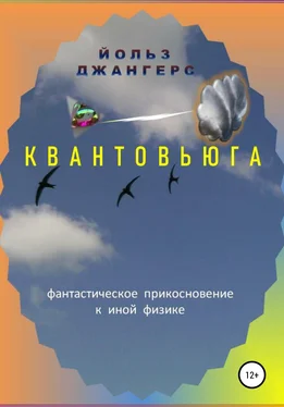 Йольз Джангерс Квантовьюга обложка книги