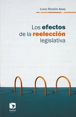 Iliana Rendón Arias Los efectos de la reelección legislativa обложка книги