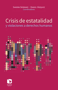 Luis Daniel Vázquez Valencia Crisis de estatalidad y violaciones a derechos humanos обложка книги