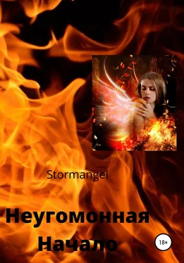 Stormangel Неугомонная обложка книги