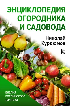 Николай Курдюмов Энциклопедия огородника и садовода обложка книги