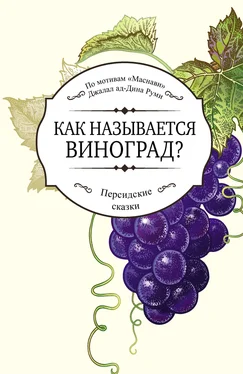 Джалаладдин Руми Как называется виноград? обложка книги