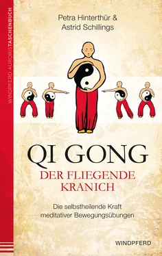 Petra Hinterthür Qi Gong – Der fliegende Kranich обложка книги