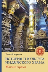 Елена Андреева - История и культура индийского храма. Книга II. Жизнь храма