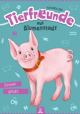 Katharina Abel Tierfreunde aus Blumenstadt : Schwein gehabt обложка книги