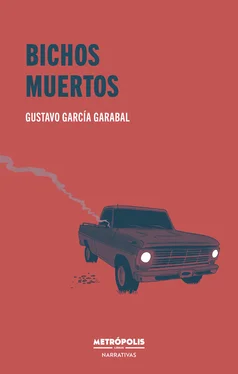 Gustavo García Garabal Bichos muertos обложка книги