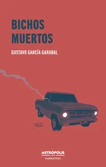 Gustavo García Garabal - Bichos muertos