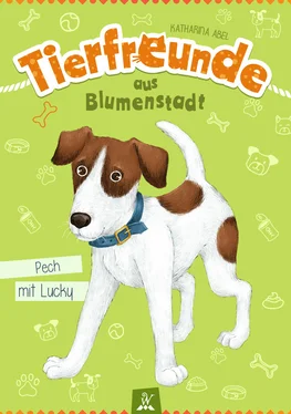 Katharina Abel Tierfreunde aus Blumenstadt : Pech mit Lucky обложка книги