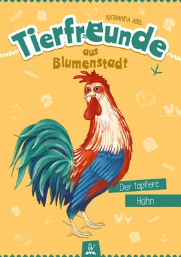 Katharina Abel Tierfreunde aus Blumenstadt : Der tapfere Hahn обложка книги