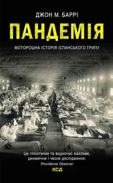 Джон Баррі Пандемія. Моторошна історія іспанського грипу обложка книги