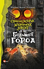 Кристиан Хайдикер - Страшные истории для маленьких лисят. Большой город
