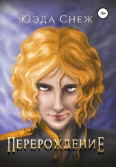 Юэда Снеж - Перерождение