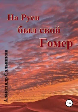 Александр Сальников На Руси был свой Гомер обложка книги