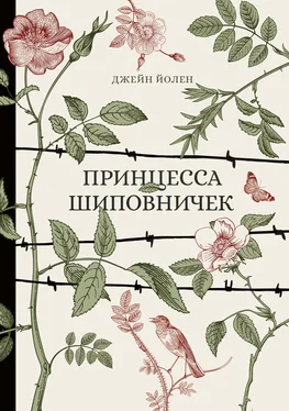 Джейн Йолен Принцесса Шиповничек обложка книги