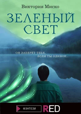 Виктория Миско Зелёный свет обложка книги
