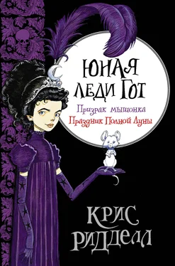 Крис Ридделл Юная леди Гот: Призрак мышонка. Праздник Полной Луны обложка книги