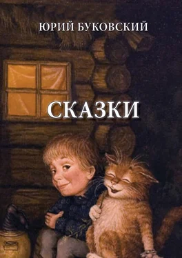 Юрий Буковский Сказки обложка книги