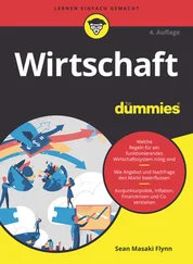 Sean Masaki Flynn - Wirtschaft für Dummies
