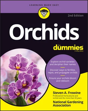 Steven A. Frowine Orchids For Dummies обложка книги