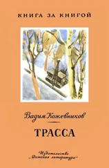 Вадим Кожевников - Трасса