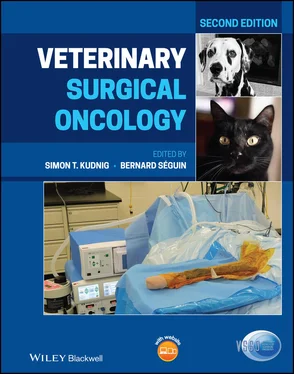 Неизвестный Автор Veterinary Surgical Oncology обложка книги