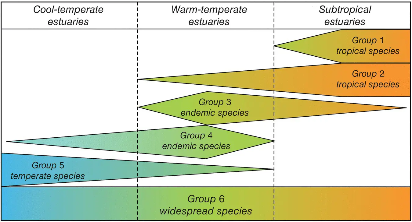 Figure 23 South African estuarine fish faunal groupings based on environmental - фото 17