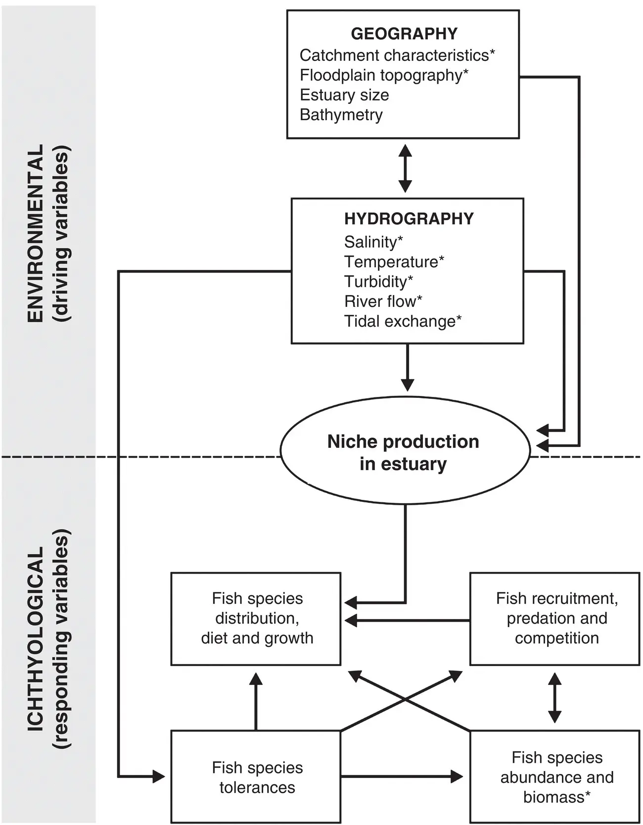 Figure 12 Interactions between selected environmental and fish variables in - фото 10