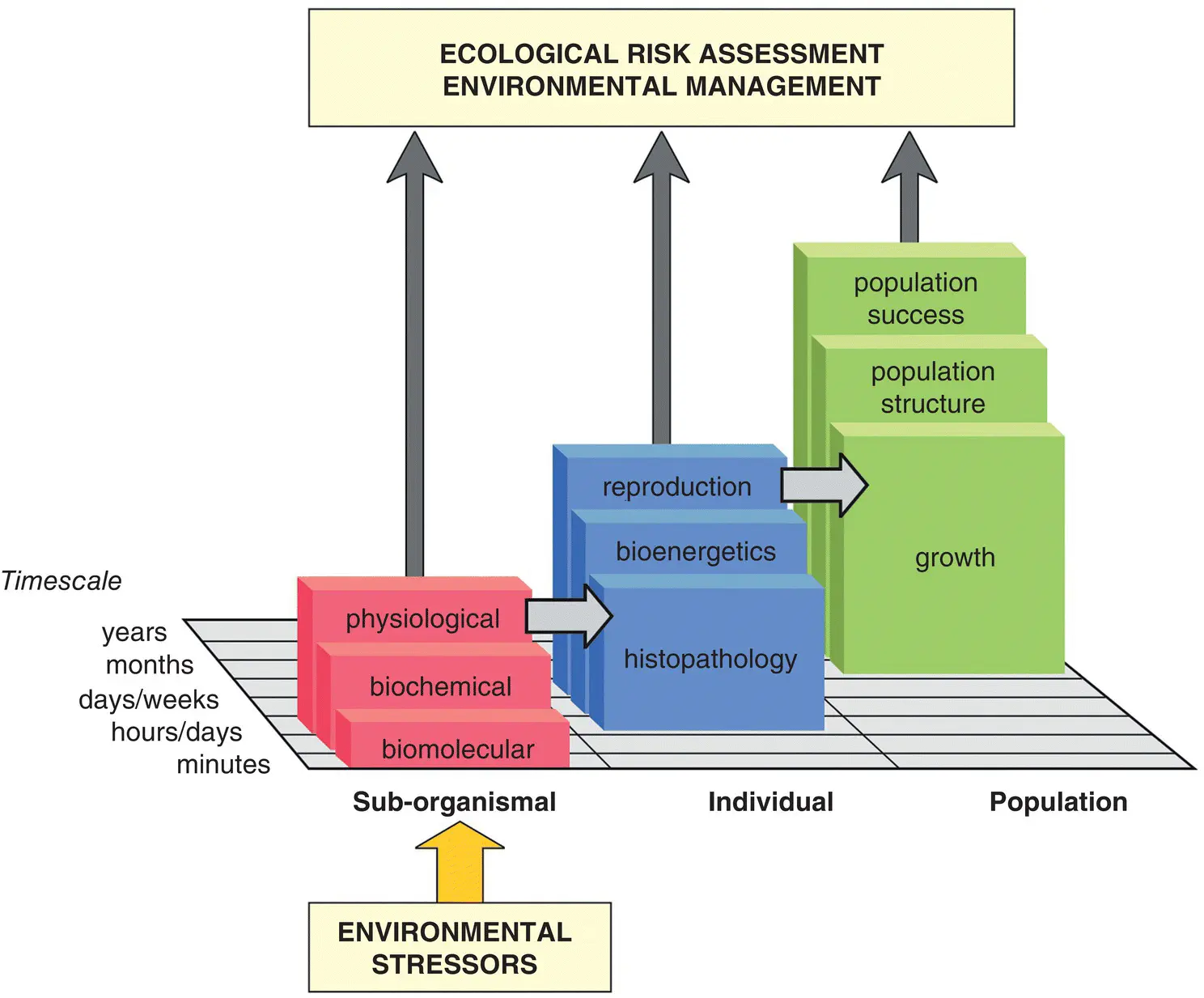 Figure 15 Diagrammatic representation of the hierarchical responses of fishes - фото 13