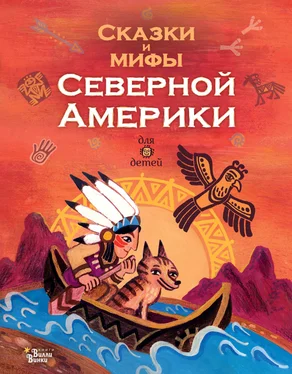 Александр Ващенко Сказки и мифы Северной Америки обложка книги