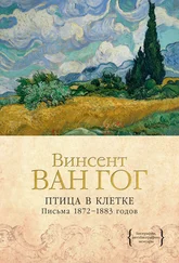 Винсент Ван Гог - Птица в клетке. Письма 1872–1883 годов