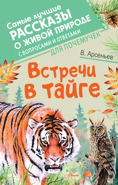 Владимир Арсеньев Встречи в тайге. С вопросами и ответами для почемучек обложка книги