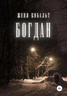 Женя Кобальт Богдан обложка книги